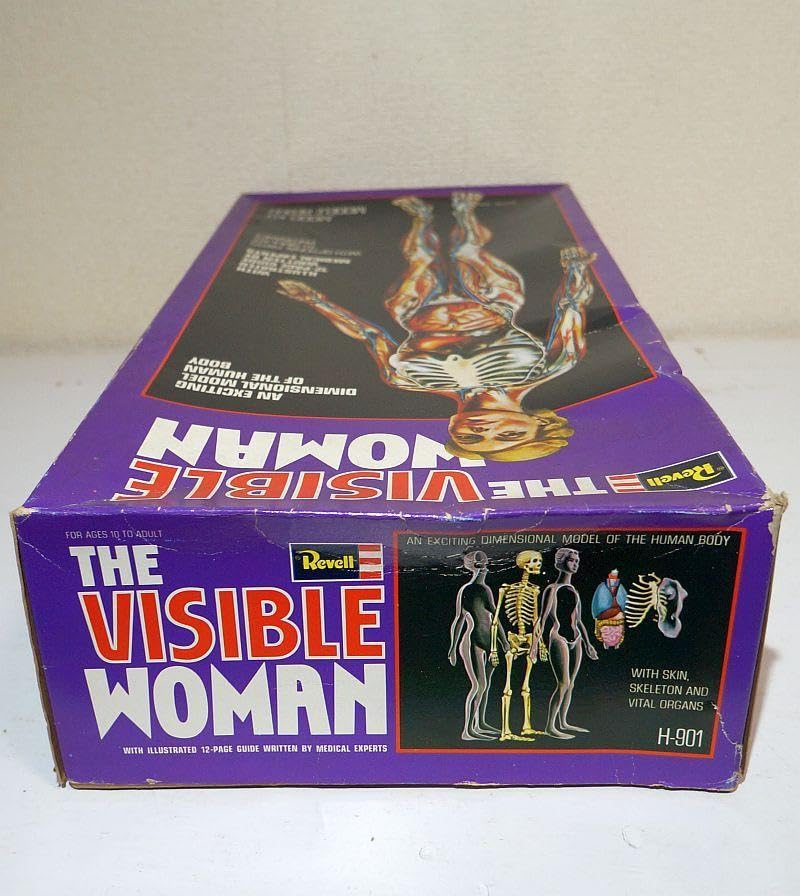 レベルTHE VISIBE MAN /THE VISIBE WOMAN 人体模型 Revell THE VISIBLE WOMAN 人体模型 - メルカリ